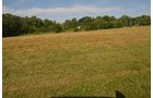Property photo 15 - REAL ESTATE AUCTION - 26+/- ACRES IN 3 TRACTS IN SOUTHWEST ALLEN COUNTY, INDIANA